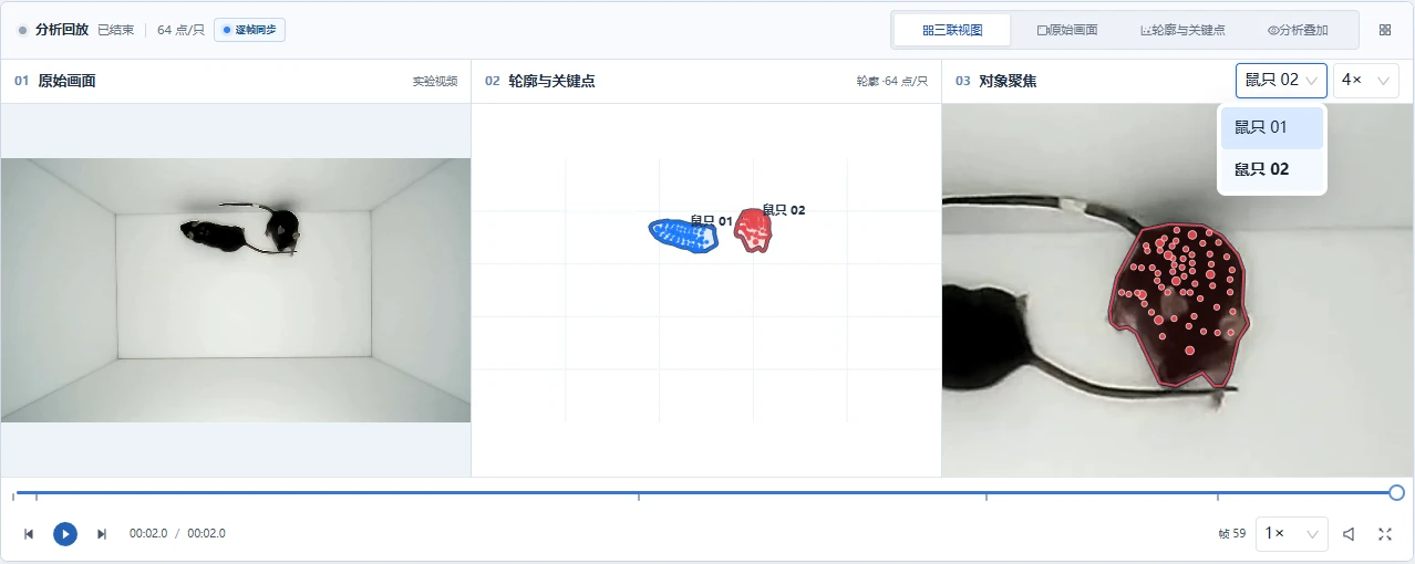 Dense Tracking Studio 实际软件结果工作区,包含三视图、个体切换和视频播放控件